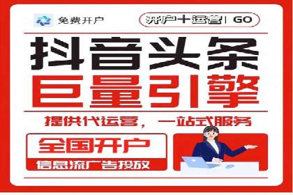 百度竞价广告投放案例剖析